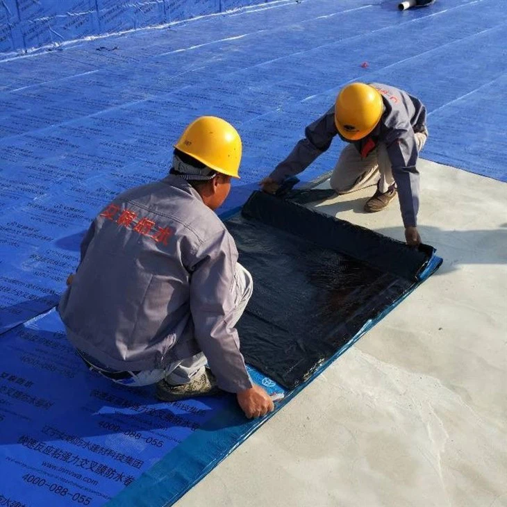 Bituminous Waterproofing